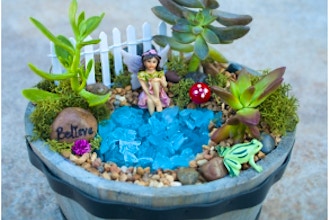 Plant Nite: Fairy Whiskey Barrel